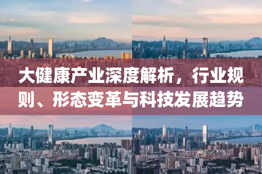 大健康產業深度解析，行業規則、形態變革與科技發展趨勢